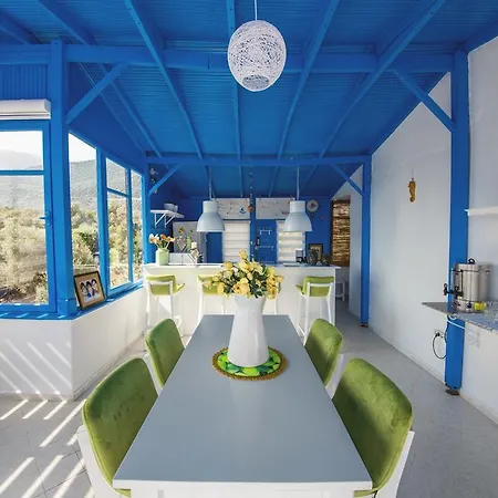 Selim - Adult Only + 16 Kaş