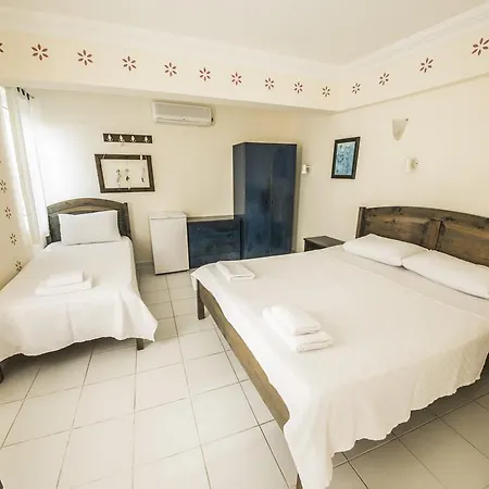 Selim - Adult Only + 16