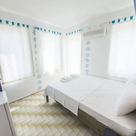 Selim - Adult Only + 16