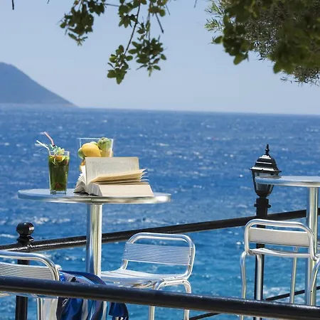 Selim - Adult Only + 16