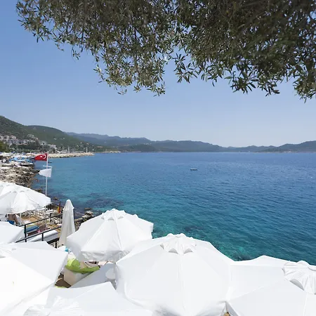 Bed and Breakfast Selim - Adult Only + 16 3*